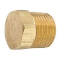 Anderson Metals Ander Metal A6P-70612504 0.25 Solid Hex Plug Low Lead Brass A6P-70612504